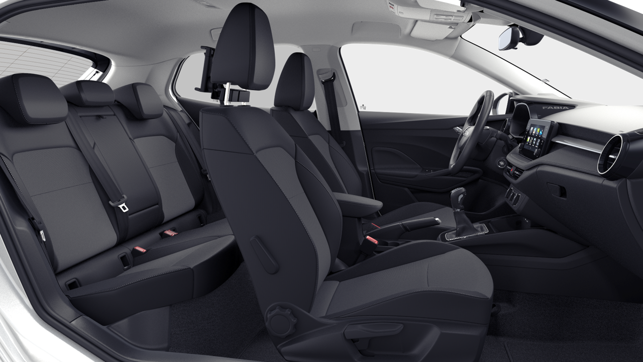 Imagem de um Fabia Selection1.0TSI 116cv DSG