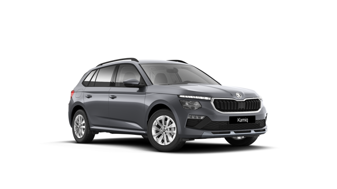 Imagem de um Kamiq 1.0TSI 116cv DSG