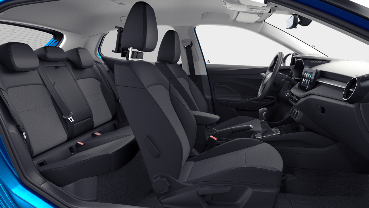 Imagem de um Fabia Selection 1.0TSI 116cv DSG