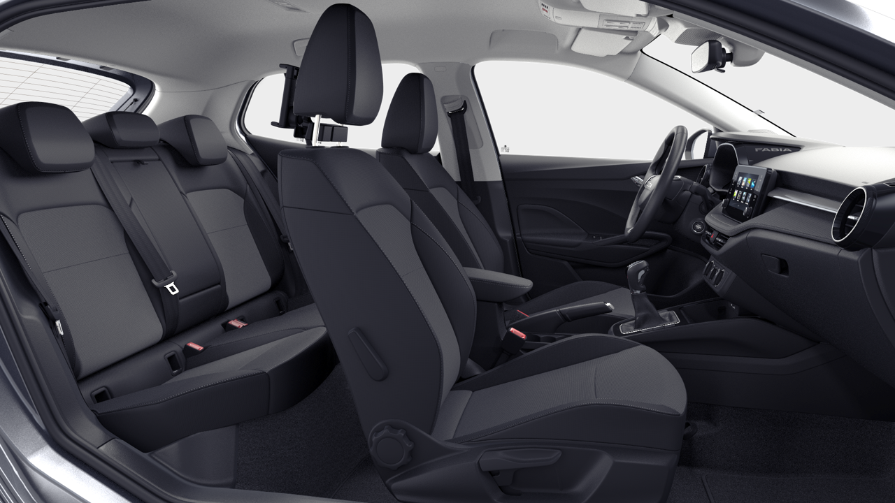 Imagem de um Fabia Selection 1.0TSI 116cv DSG