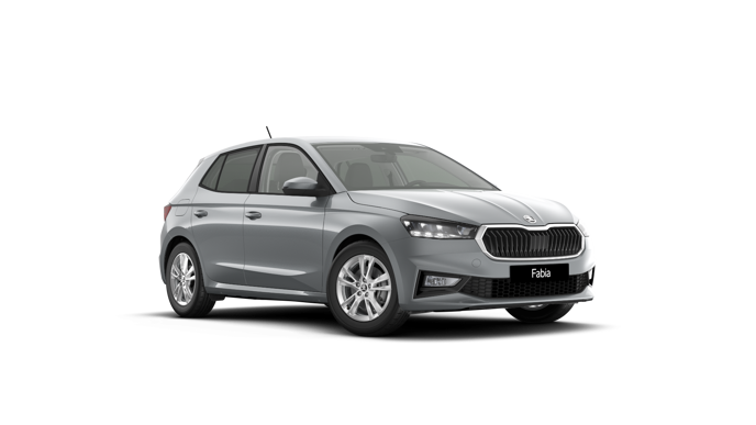 Imagem de um Fabia Selection 1.0TSI 116cv DSG