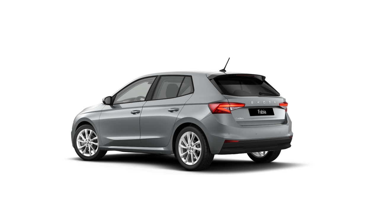 Imagem de um Fabia Selection1.0TSI 116cv DSG