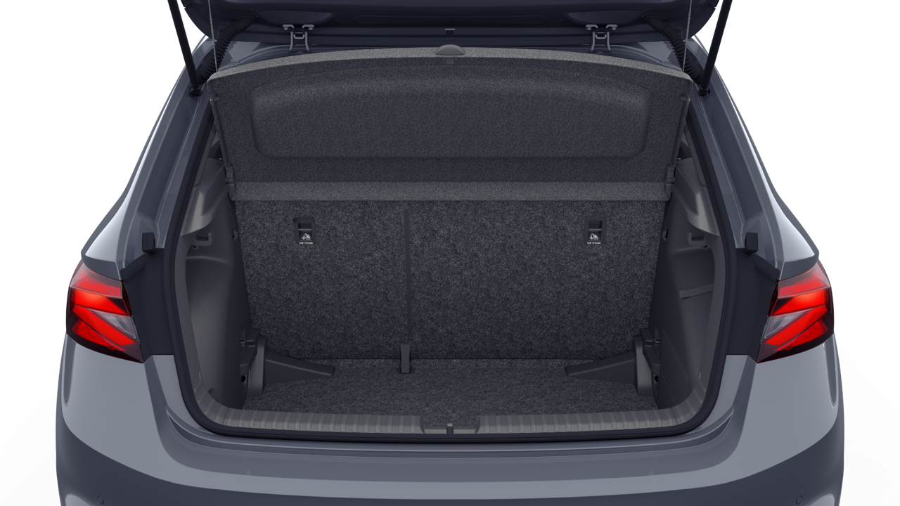 Imagem de um Fabia 1.0TSI 116cv Monte Carlo Edition