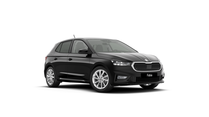 Imagem de um Fabia Selection1.0TSI 116cv DSG