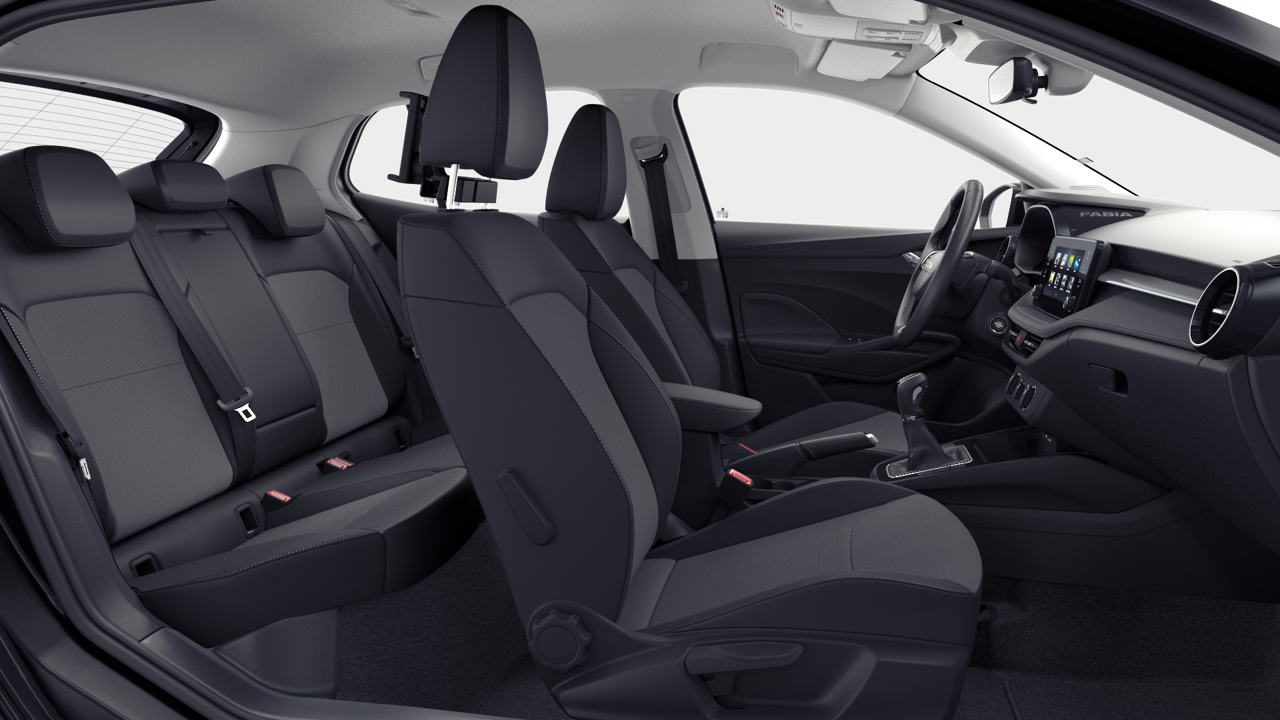 Imagem de um Fabia Selection1.0TSI 116cv DSG