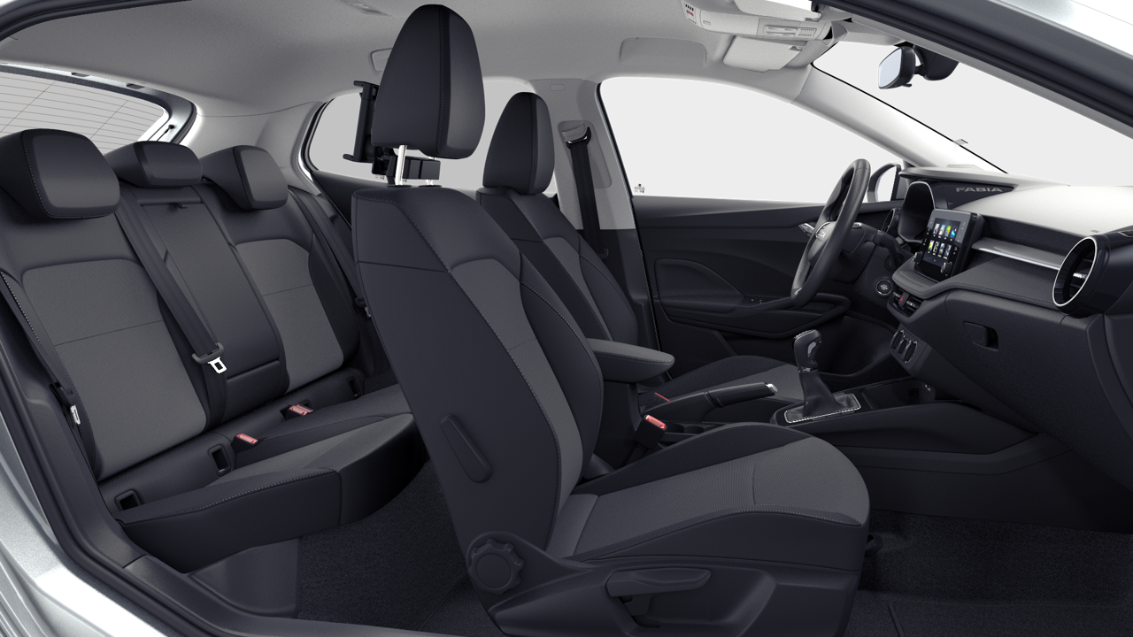 Imagem de um Fabia Selection1.0TSI 116cv DSG