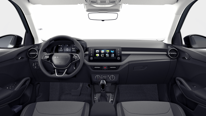 Imagem de um Fabia Selection1.0TSI 116cv DSG