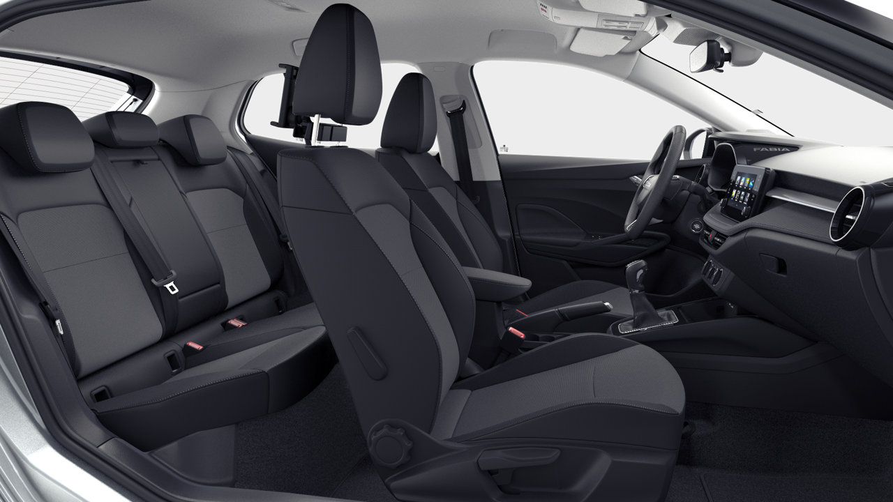 Imagem de um Fabia Selection1.0TSI 116cv DSG
