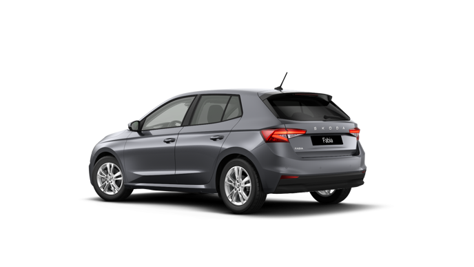 Imagem de um Fabia Selection 1.0TSI 116cv DSG