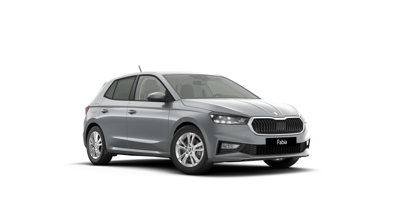 Imagem de um Fabia Selection 1.0TSI 116cv DSG