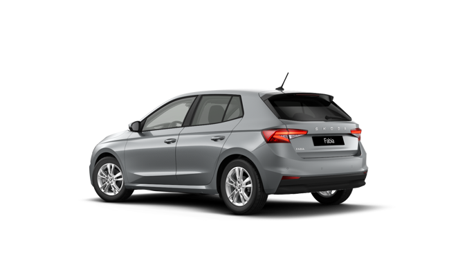 Imagem de um Fabia Selection 1.0TSI 116cv DSG