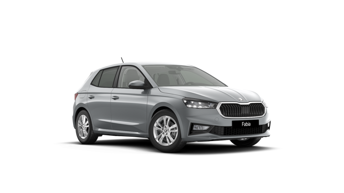 Imagem de um Fabia Selection 1.0TSI 116cv DSG