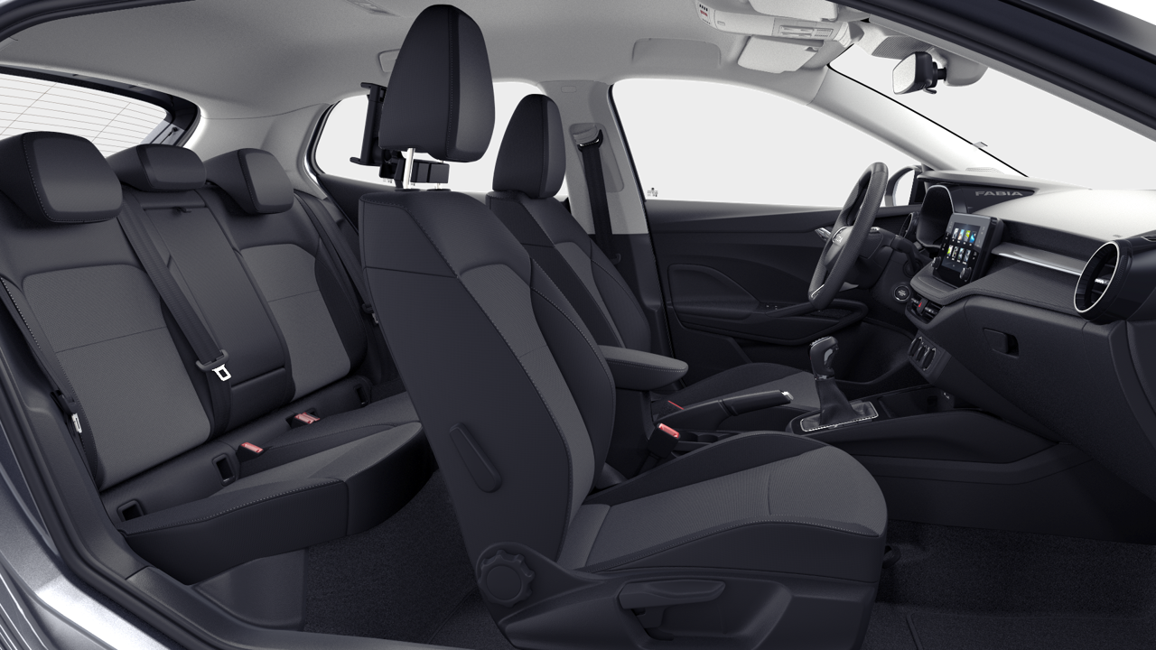 Imagem de um Fabia Selection1.0TSI 116cv DSG