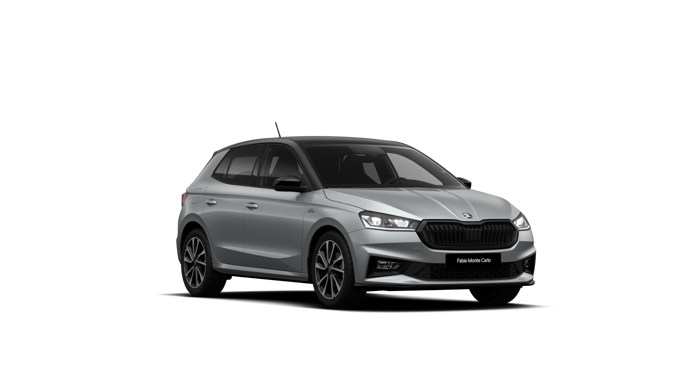 Imagem de um Fabia Monte Carlo Edition 1.5TSI 150 DSG