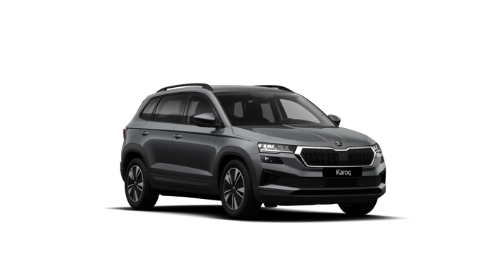 Imagem de um Karoq Selection 1.0 TSI 116cv