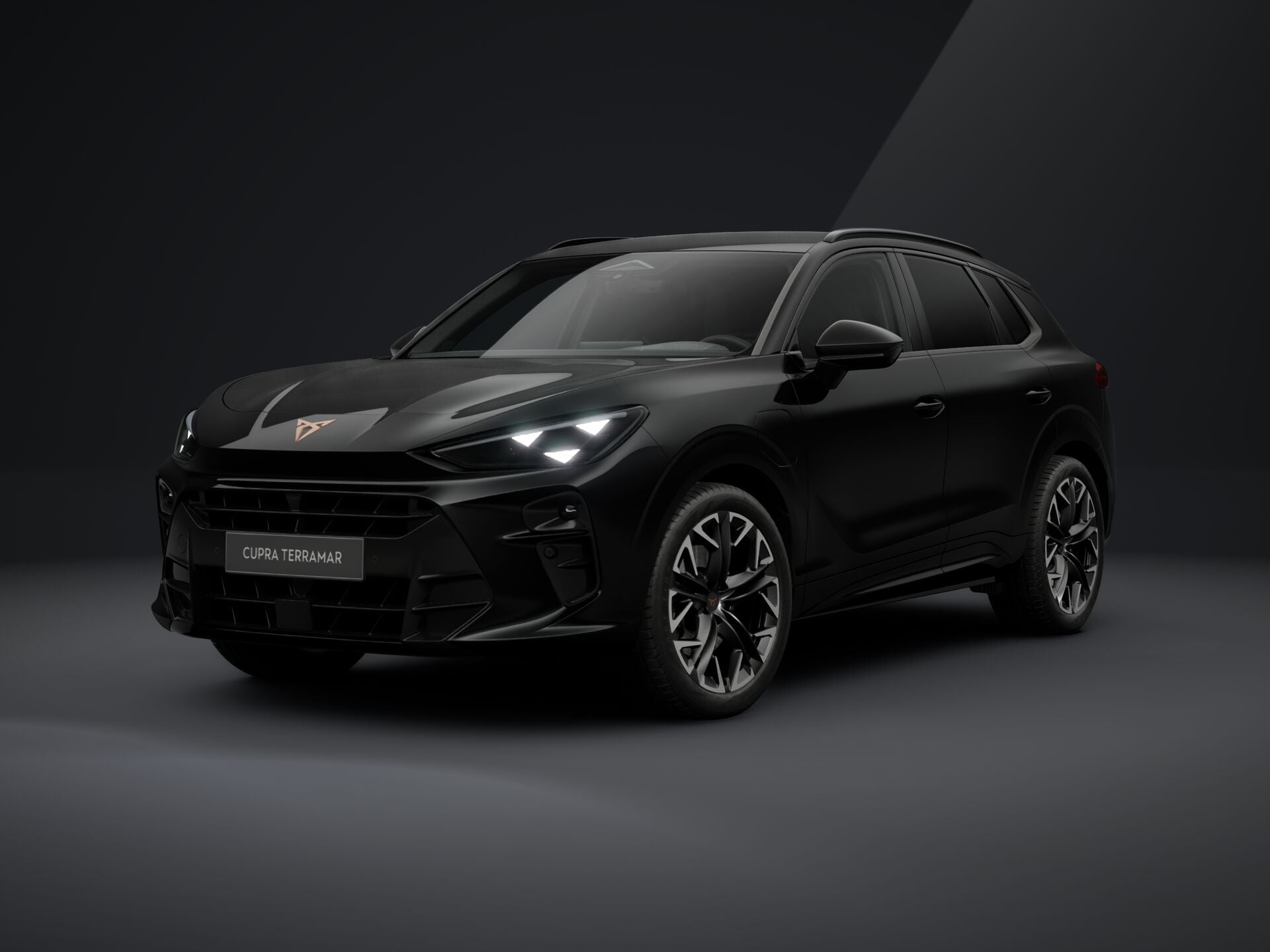 Imagem de um Terramar 1.5 e-HYBRID 204cv DSG