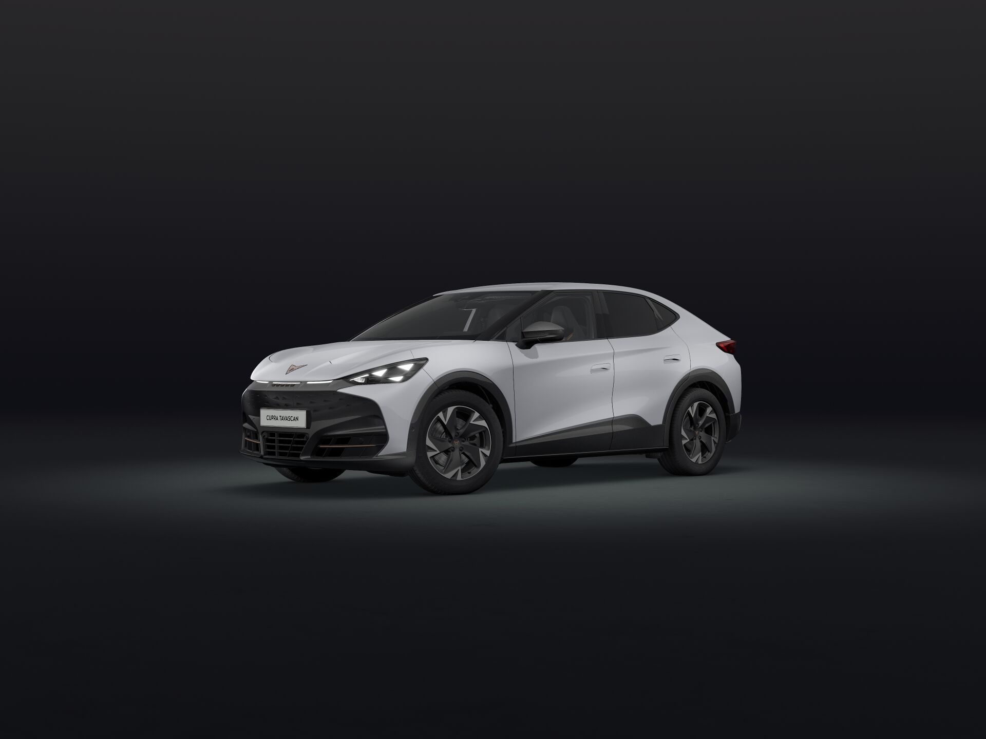 Imagem de um Tavascan Endurance 77kWh - 286cv