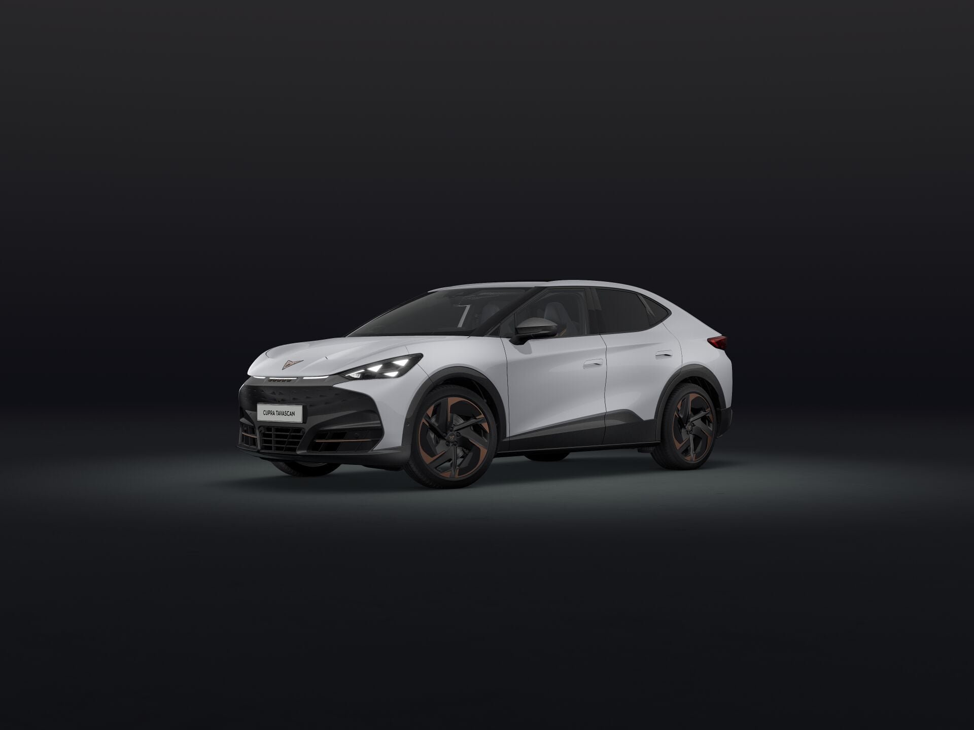 Imagem de um Tavascan ADRENALINE 77kWh - 286cv