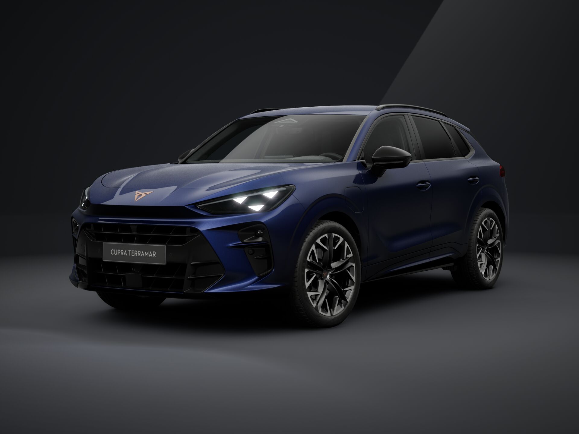 Imagem de um Terramar 1.5 e-HYBRID 204cv DSG