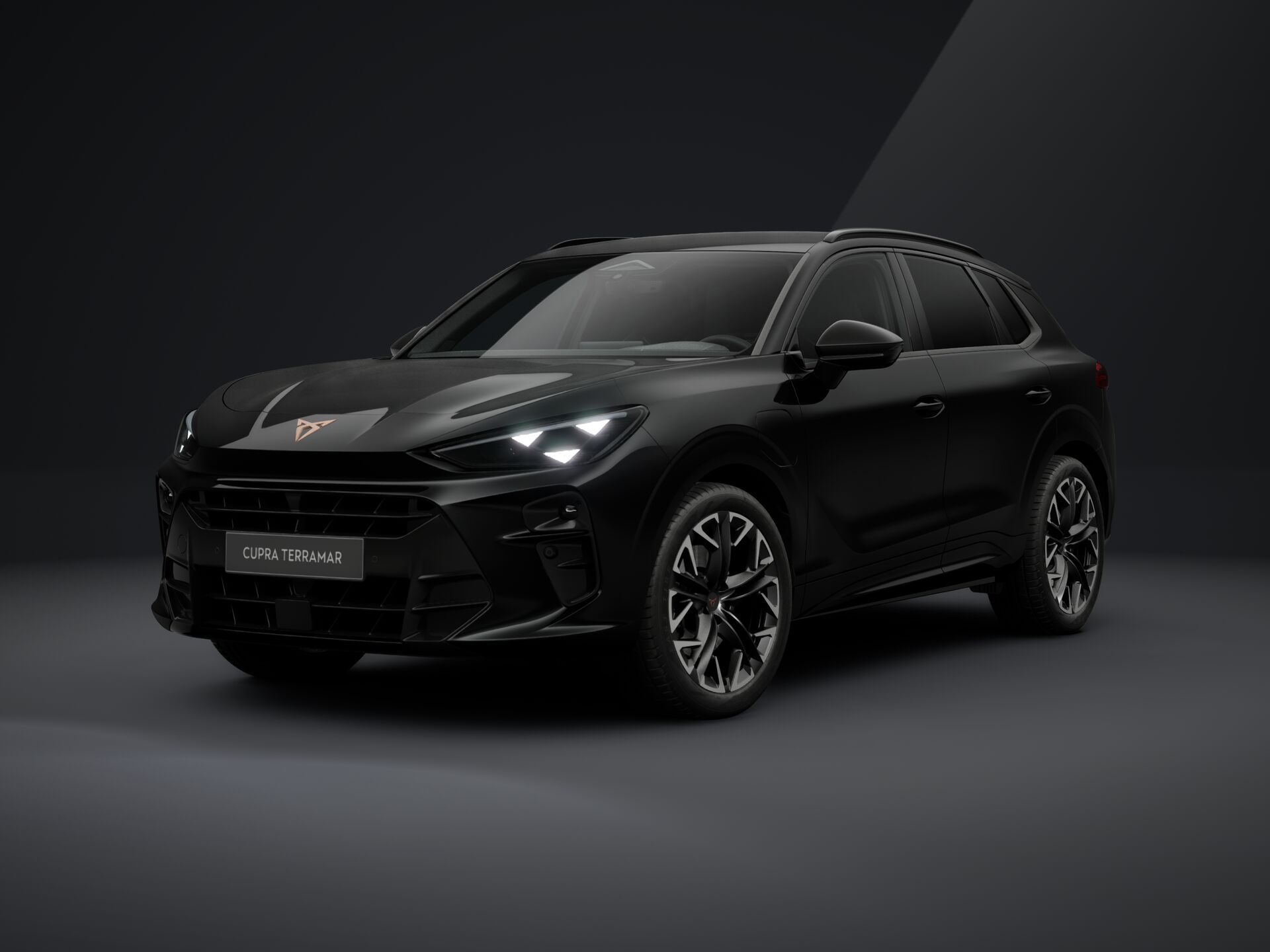 Imagem de um Terramar 1.5 e-HYBRID 204cv DSG