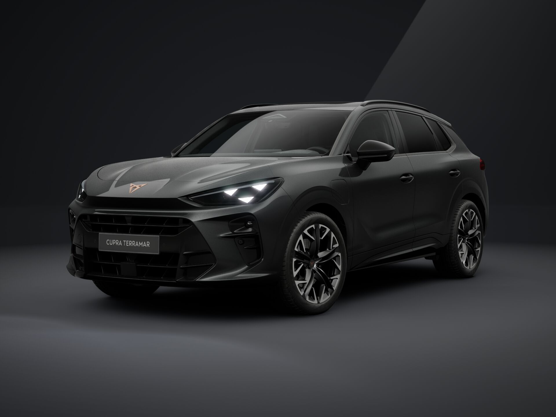 Imagem de um Terramar 1.5 e-HYBRID 204cv DSG