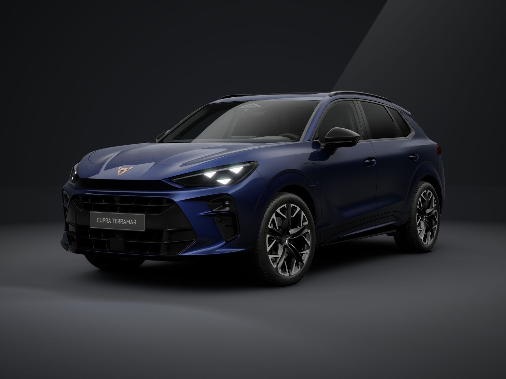 Imagem de um Terramar 1.5 e-HYBRID 204cv DSG