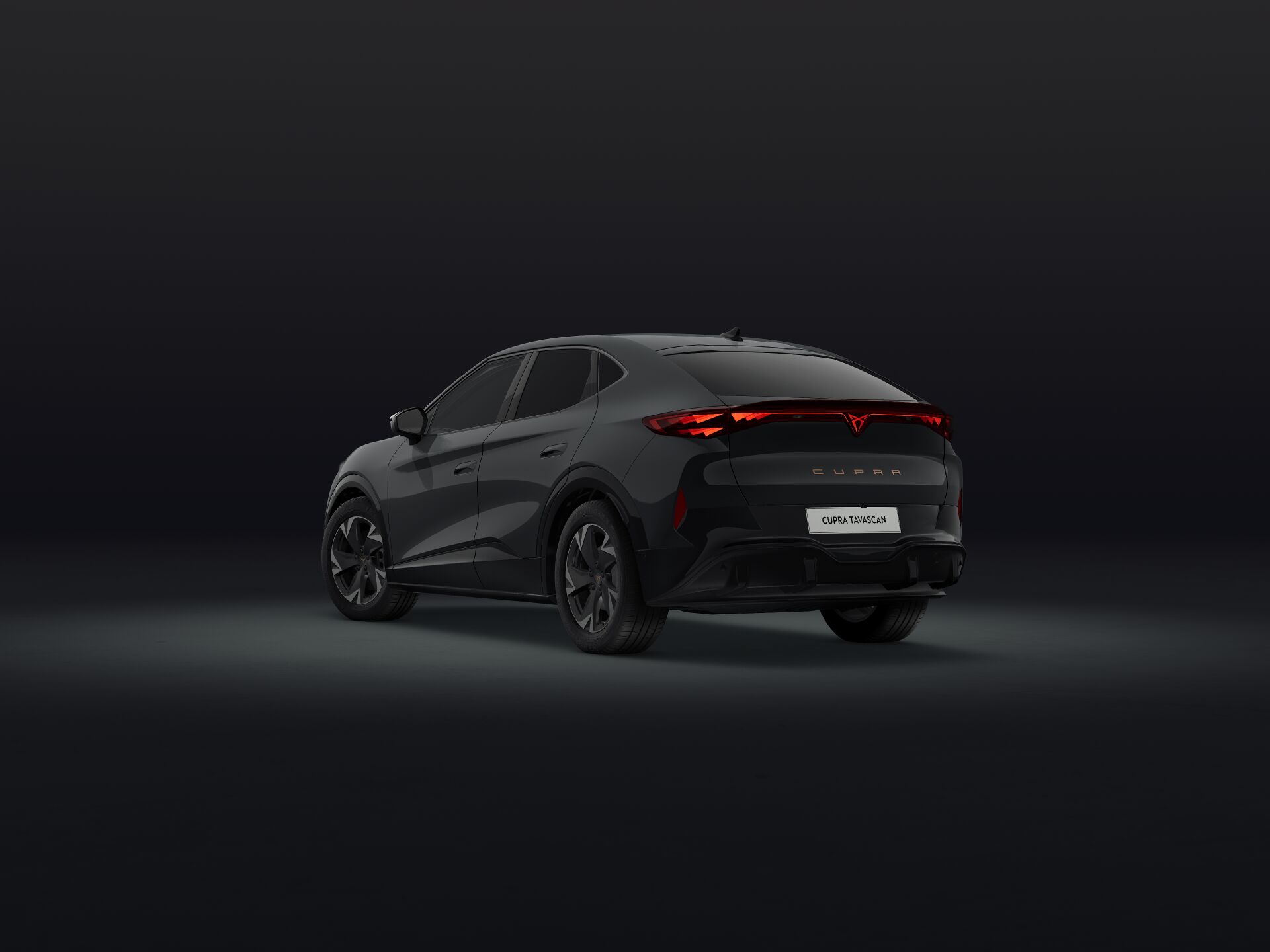 Imagem de um Tavascan Endurance 77kWh - 286cv