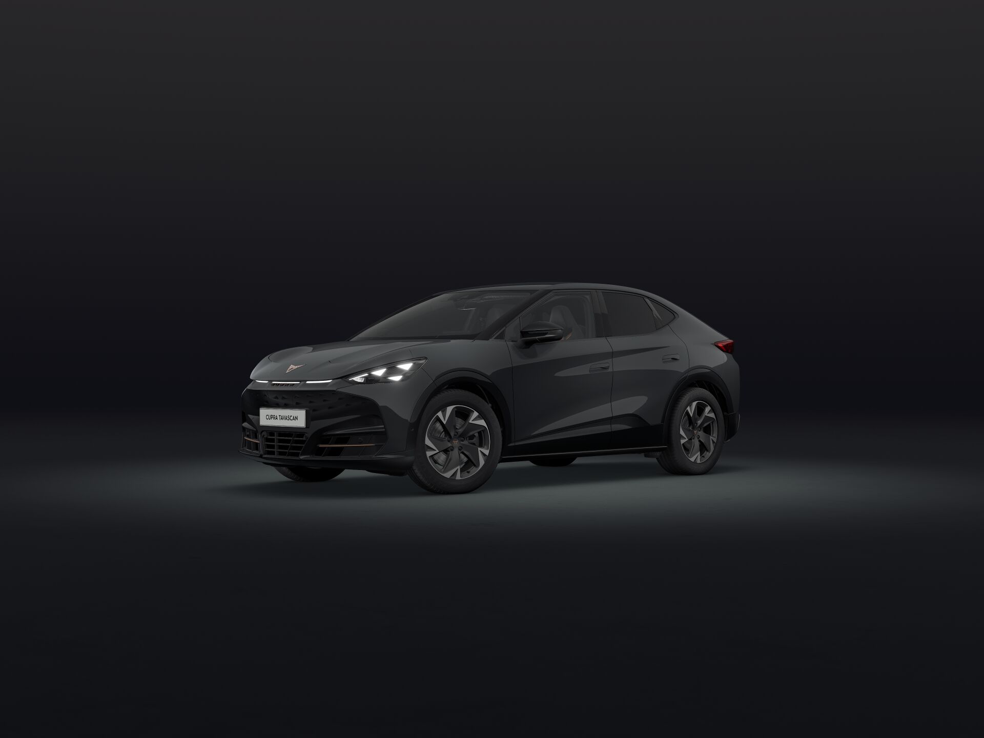 Imagem de um Tavascan Endurance 77kWh - 286cv