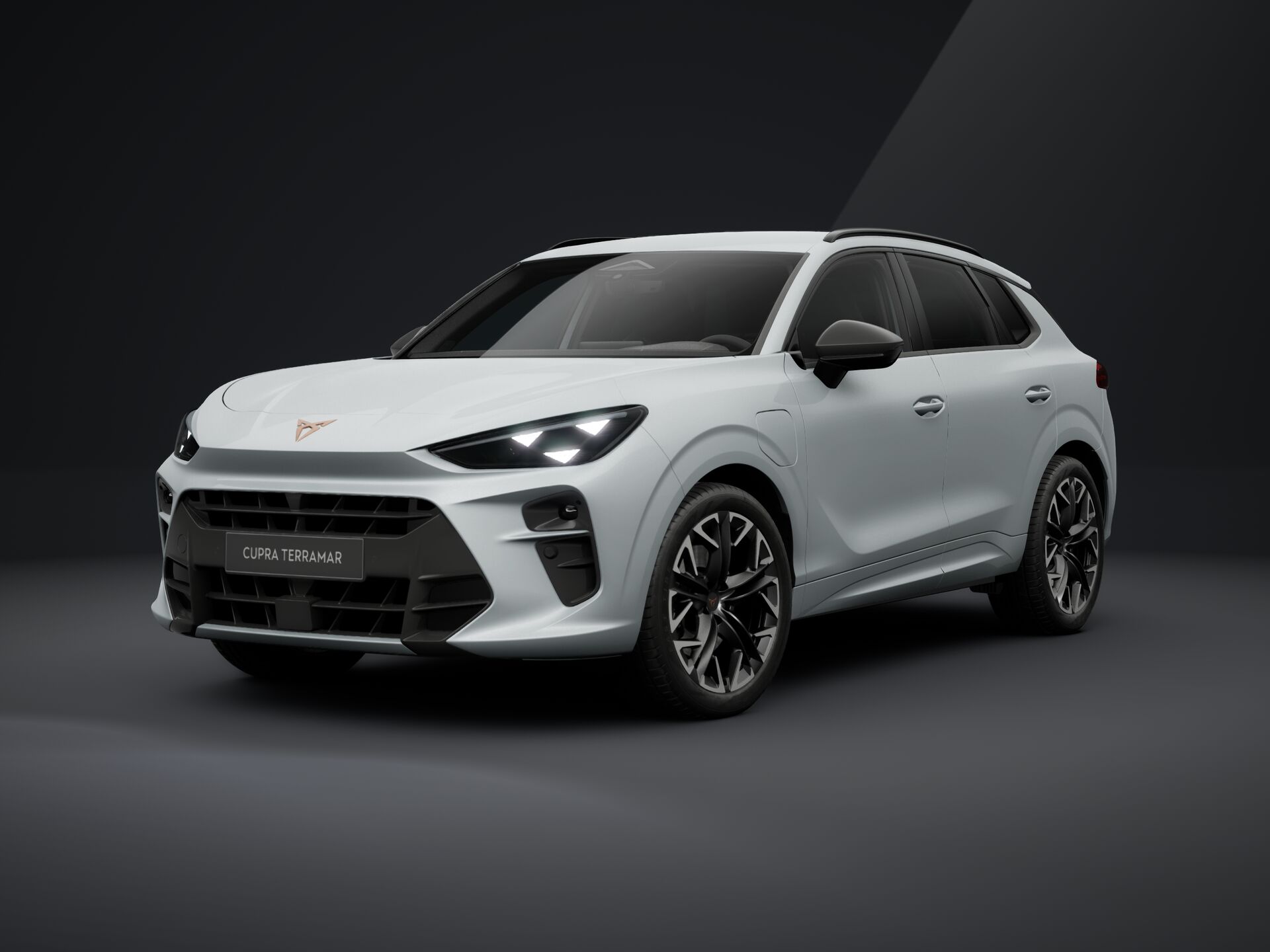 Imagem de um Terramar 1.5 e-HYBRID 204cv DSG