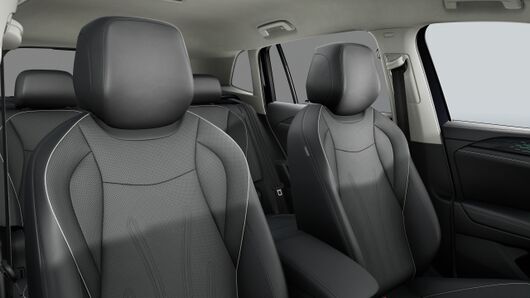 Imagem de um TIGUAN 1.5 TSI 272cv PHEV DSG ELEGANCE