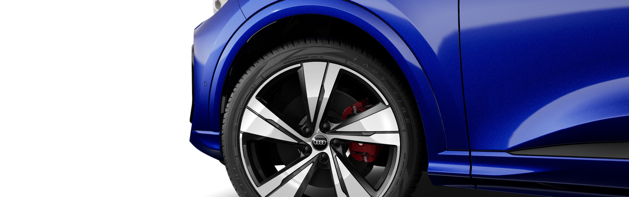 Imaginea unui SQ5 Sportback quattro