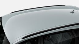 Bare longitudinale negre