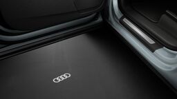 Proiectie lumina intrare cu logo