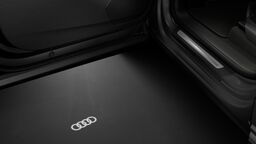 Proiectie lumina intrare cu logo