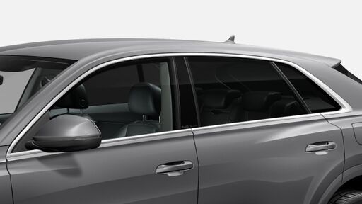 Geamuri fumurii - Privacy Glass