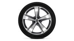 Jante aliaj usor, 5 brate Falx 22"
