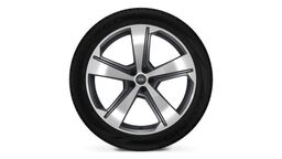 Jante aliaj usor, 5 brate Falx 22"