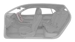 Elemente de control Exclusive Alcantara