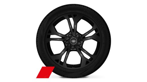 Jante Audi Sport, 5 spite duble Y 18"