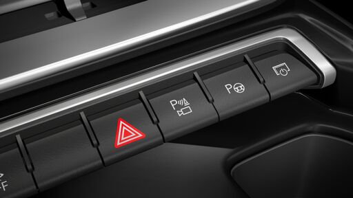 Pachet asistenta Plus cu remote park