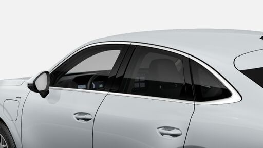 Geamuri fumurii - Privacy Glass