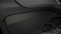 Ornamente interioare carbon micro Twill
