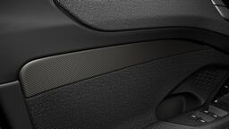 Ornamente interioare carbon micro Twill