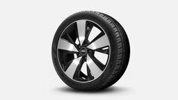 Jante aliaj usor, 5 brate Aero 19"