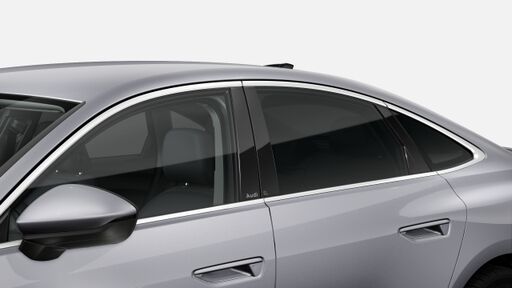 Geamuri fumurii - Privacy Glass