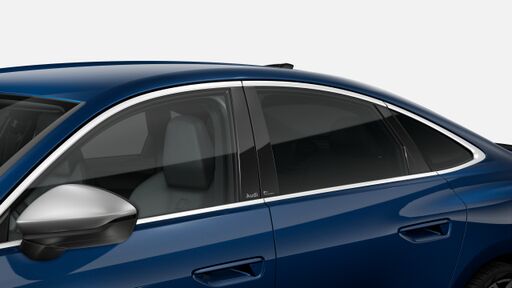 Geamuri fumurii - Privacy Glass
