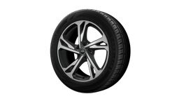 Jante Audi Sport, 5 brate duble 20"