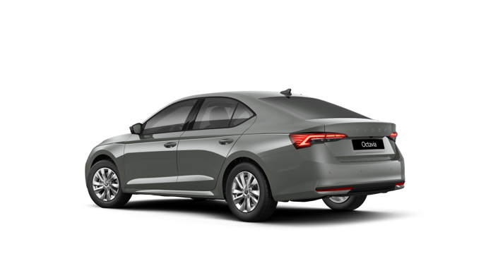 Imaginea unui Octavia Selection 2.0 TDI DSG