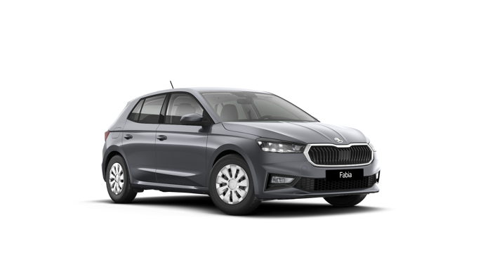 Imaginea unui Fabia Selection 1.0 TSI