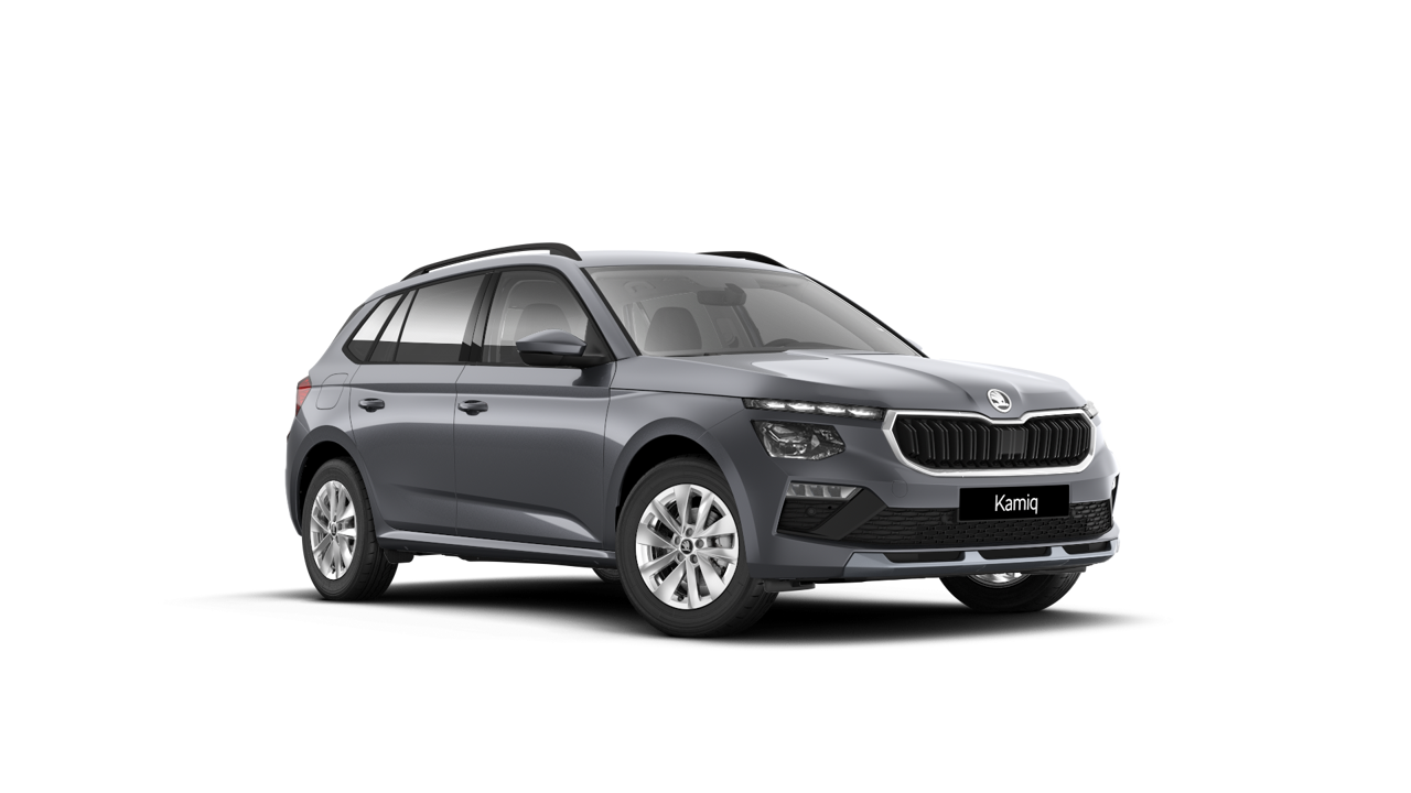 Imaginea unui Kamiq Selection 1.0 TSI DSG